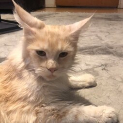 image of christina28