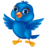 Bluebird0211