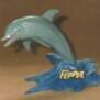 flipper53