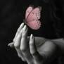 Selda29