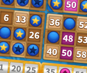 Bingo Spinner screenshot