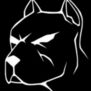 xPITBULL84x