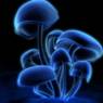 sanne111072