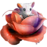 ulimaus