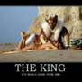 TheKing1