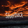 Silverback111