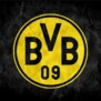 BVB09