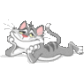 saalekater
